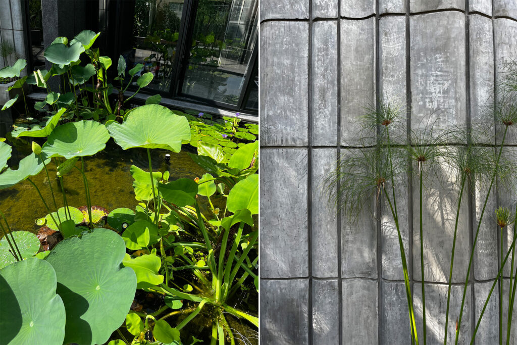 proyectos de arquitectura en concreto